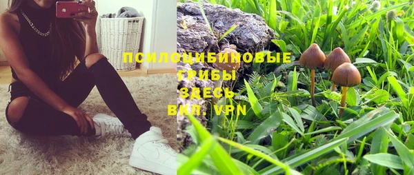 mix Алексин