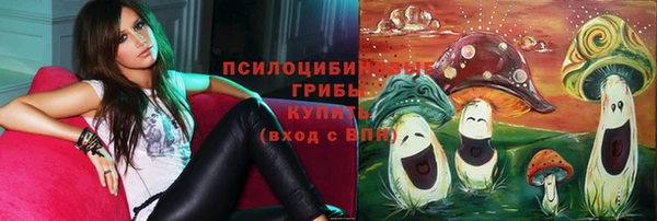 mix Алексин