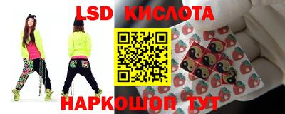 дмт Кандалакша