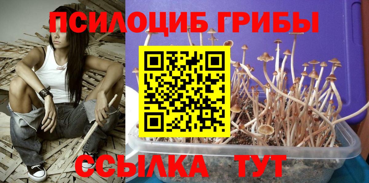Галлюциногенные грибы Magic Shrooms  Вход с VPN  Галлюциногенные грибы Cubensis  Ленинск-Кузнецкий 