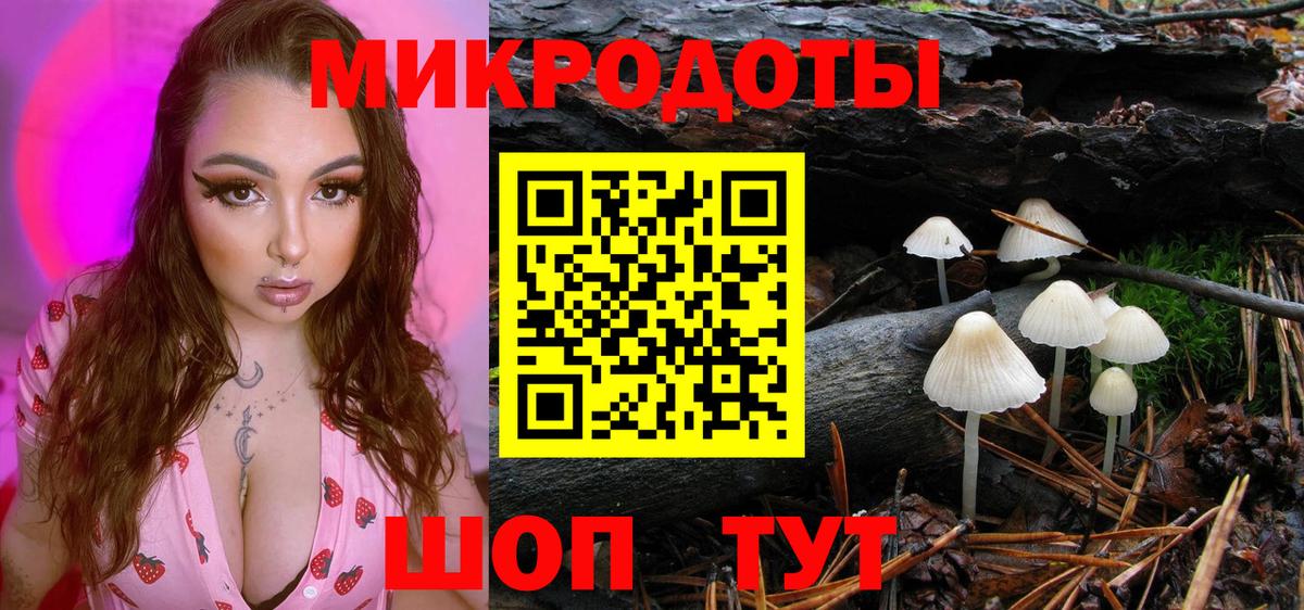Псилоцибиновые грибы мухоморы Ленинск-Кузнецкий